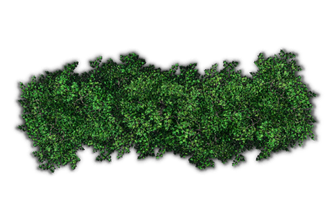 Tree Shrub Services