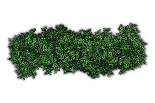 Tree Shrub Services