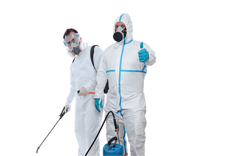 Pest Control