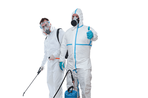 Pest Control