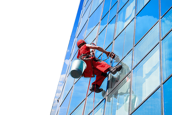 Window Cleaning Services