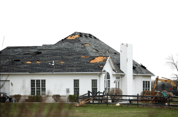 Restoration Services